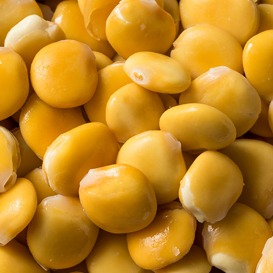 Close-up of sweet lupins. 