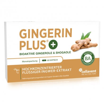 Gingerin Plus – der Bio-Extrakt aus Ingwer