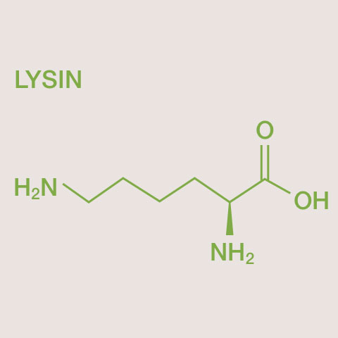 Reich an Lysin Lysin - chemische Formel