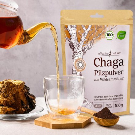 Chaga Pilzpulver - Bio - 100g