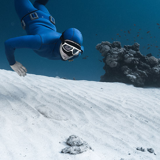 Diver looking for sangp coral