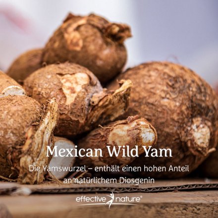 Mexican Wild Yam