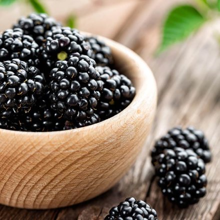 Crunchy Fruit Brombeeren gefriergetrocknet - Organica - Bio - 16g