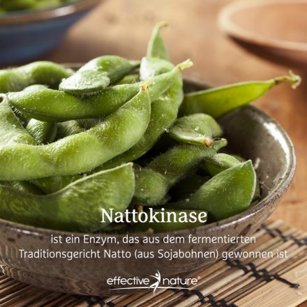 Nattokinase Kapseln - 120 Stk. - 35g