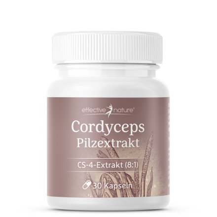 Cordyceps Extrakt