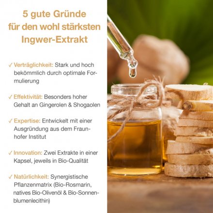 Gingerin Plus – der Bio-Extrakt aus Ingwer