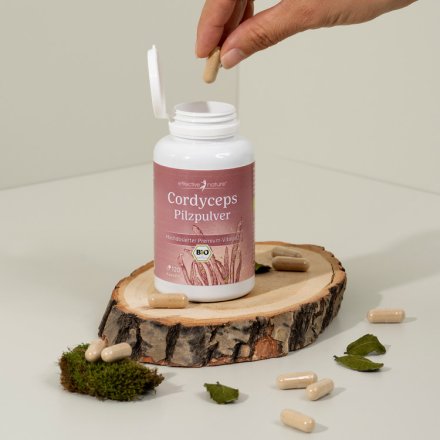 Cordyceps Bio-Pilz