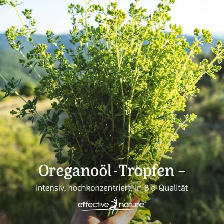 Oregano-Öl Tropfen - Bio - 30ml