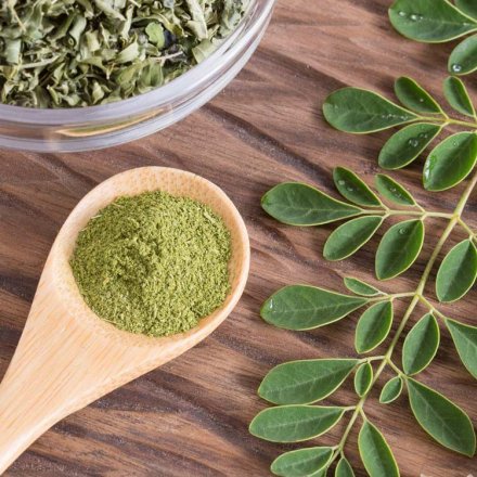 Konzentrierter Bio-Moringa-Extrakt in Kapseln