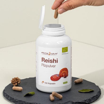 Reishi-Pilz-Pulver