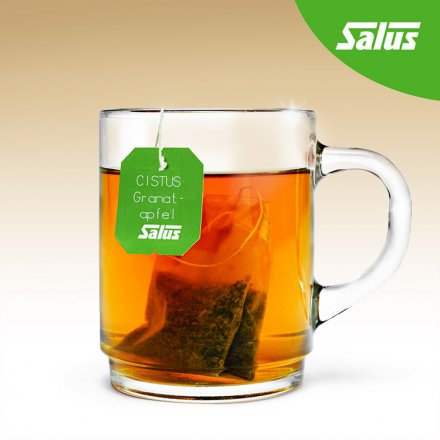 Kräutertee mit Cistus und Granatapfel