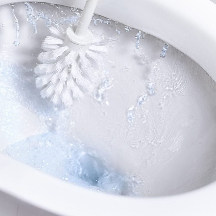 WC-Reiniger
