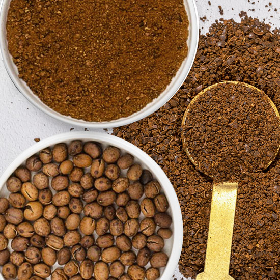 Auch Süsslupinen können geröstet werden. Hand, die geröstete Kaffeebohnen hält.