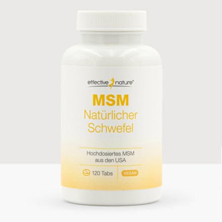 MSM Tabletten