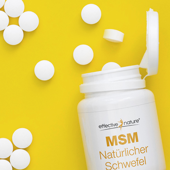 MSM praktische Tabletten