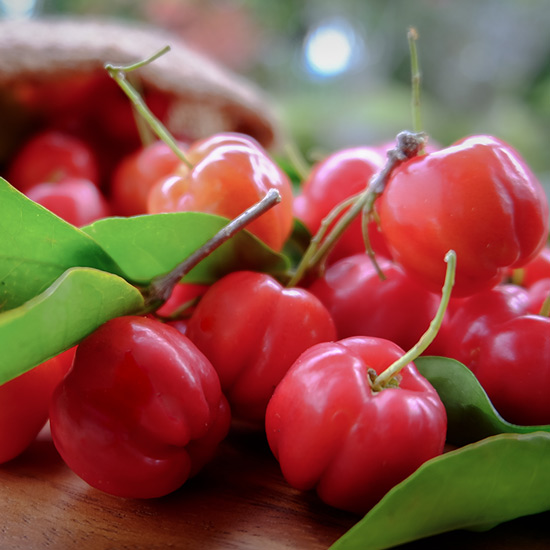 Acerola