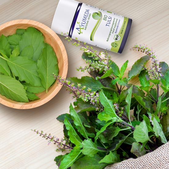 Tulsi
