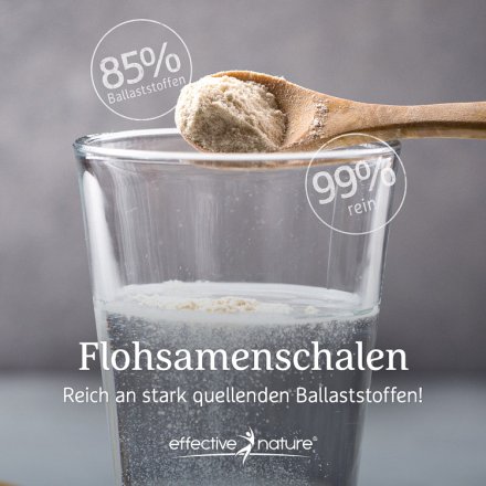 Combi Flora Flohsamenschalen Pulver - Bio - 300g