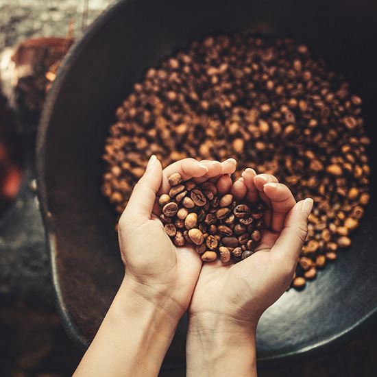 Hand holding roasted coffee beans.