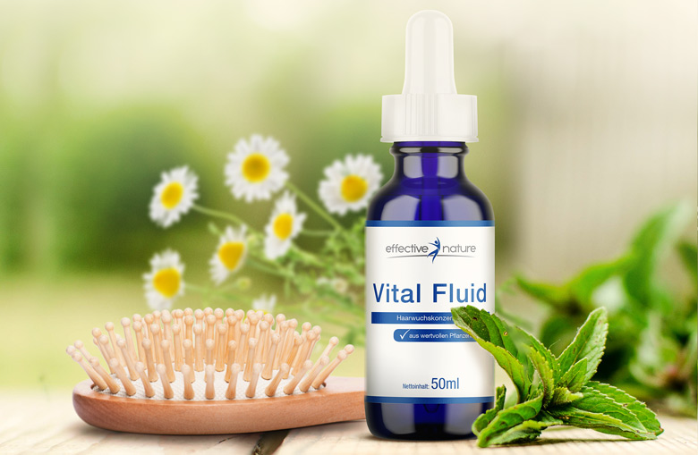 Vital Fluid von effective nature