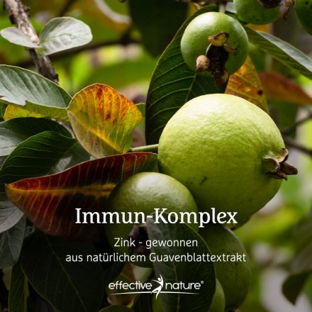 Immun Komplex Kapseln - 90 Stk. - 45g