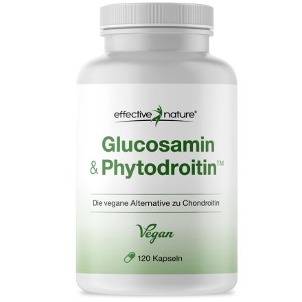Glucosamin & veganes Chondroitin