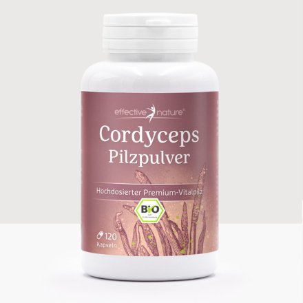 Cordyceps Bio-Pilz