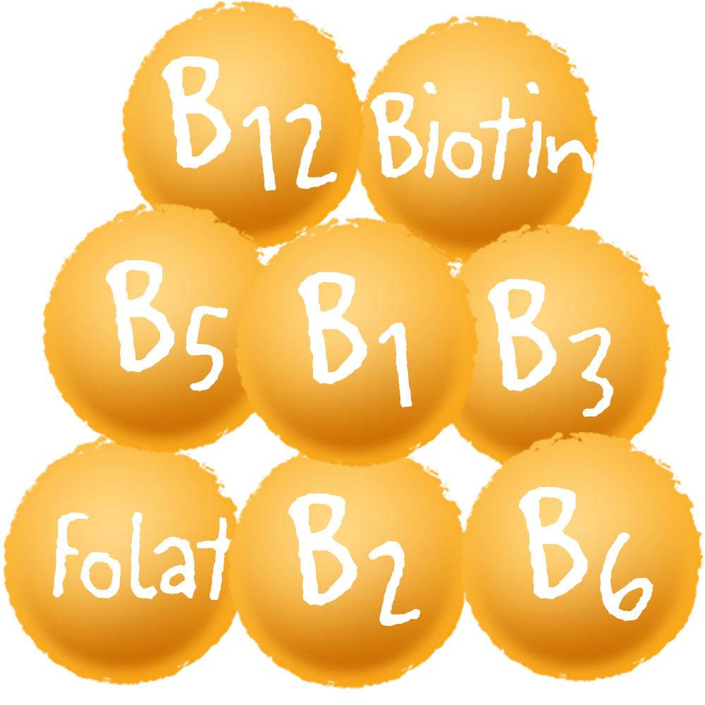 Vitamin-B-Complex Vitamin-B-Complex