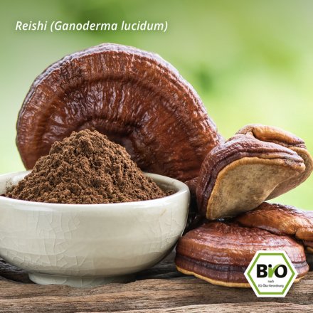 Reishi Kaffee Bohnen Balance - Bio - 227g