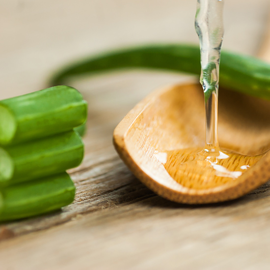 Aloe Vera Gel läuft aus der Aloe Vera Pflanze heraus