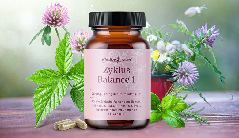 Zyklus Balance 1