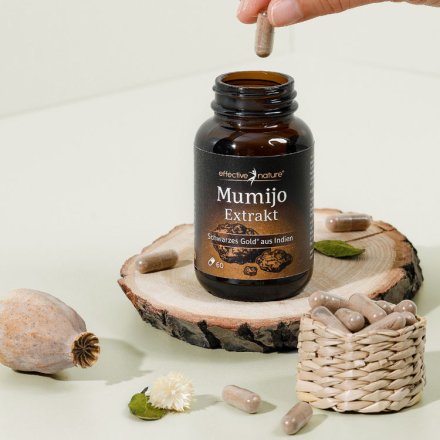 Schwarzes Gold - Mumijo Shilajit Extrakt