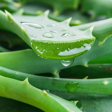 Alkaline Deodorant with Aloe Vera