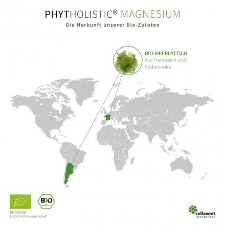 Bio Magnesium von Phytholistic