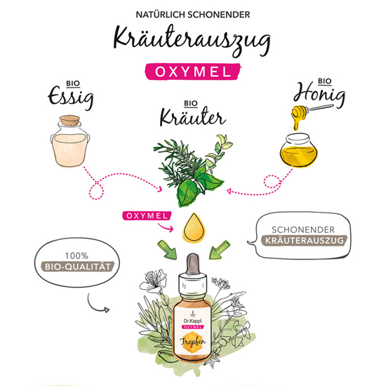Oxymel - ein traditionell überliefertes Rezept Erklärung was ein Kräuterauszug ist