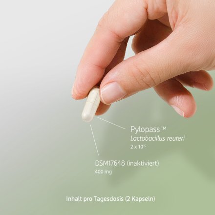 Combi Flora Antipylori with Pylopass