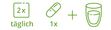 2-mal täglich eine Kapsel mit einem Glas Wasser
