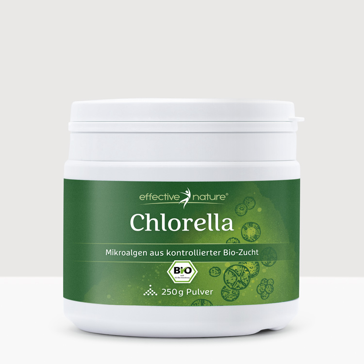 Chlorella Chlorella