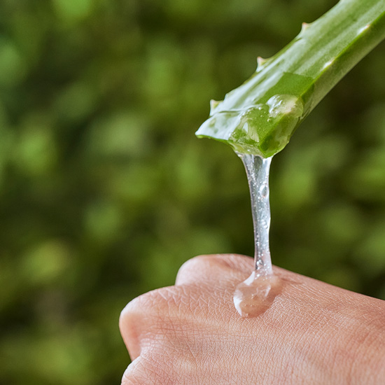 Aloe Vera Saft