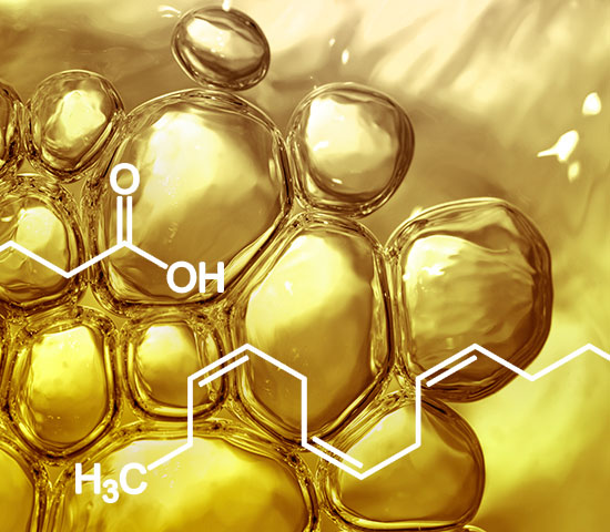 Hervorragende, pflanzliche Omega-3-Quelle 