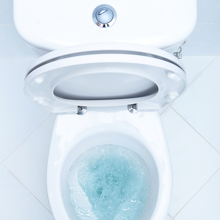WC-Reiniger