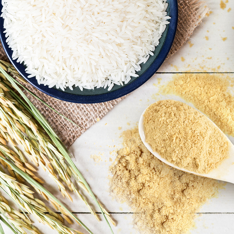 Reisproteinpulver und Reiskörner