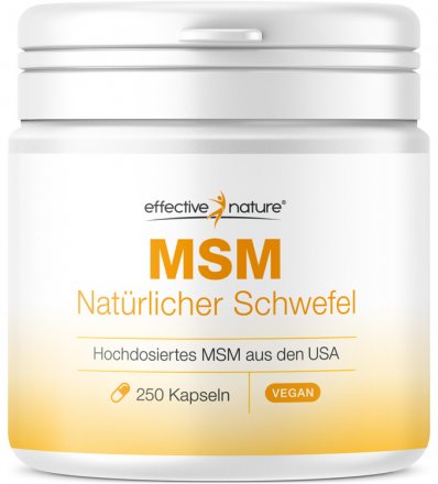 MSM Gel und Kapseln + Gratis-Buch