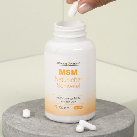 MSM Tabletten