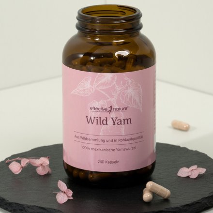 Mexican Wild Yam