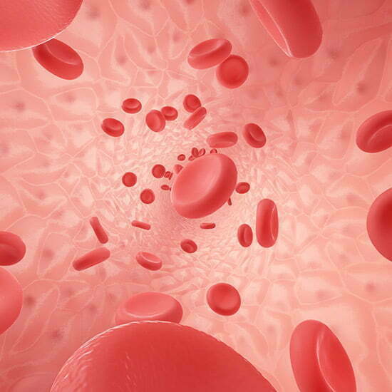 Blutkörperchen
