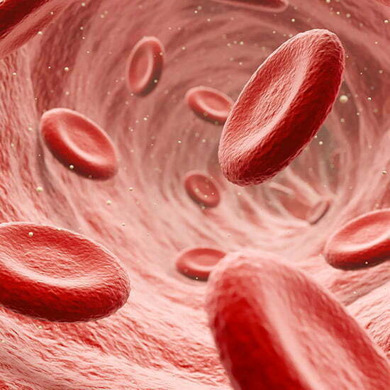 Illustration Blutkörperchen in Blutbahn