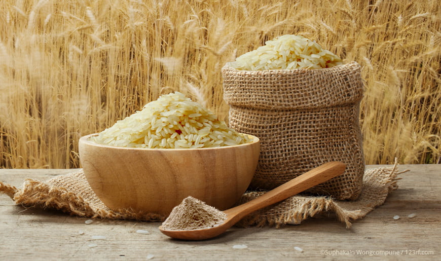 Reisprotein und Reis in Gefässen