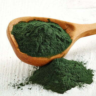 Chlorella