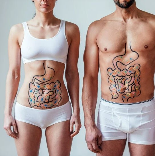 Grafische Darstellung von Darm bei Mann und Frau